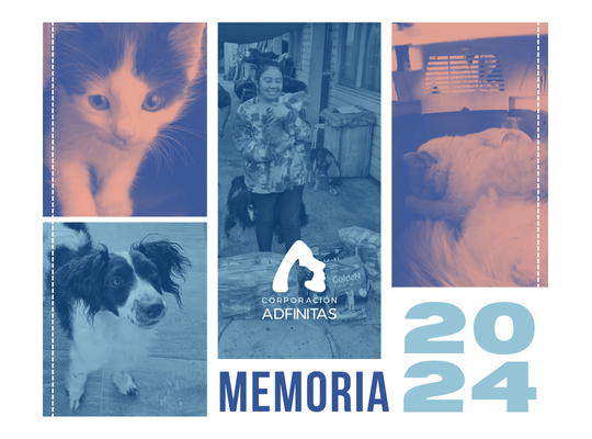 Portada de la Memoria 2024 de la Corporación Adfinitas