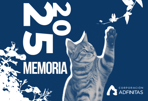 Portada de la Memoria 2025 de la Corporación Adfinitas